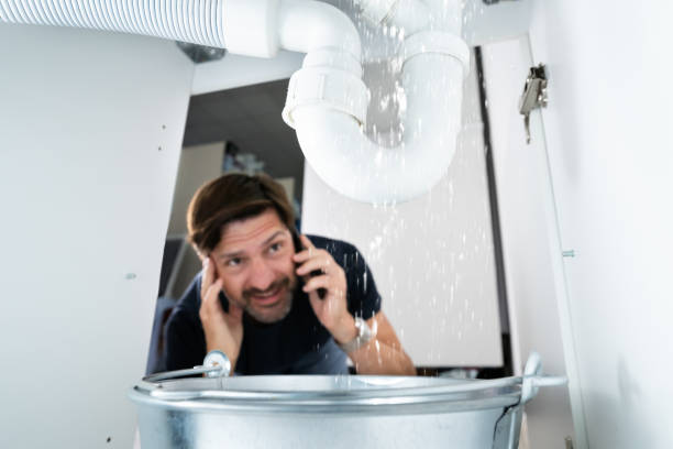 Best Sprinkler Systems  in Forest, OH