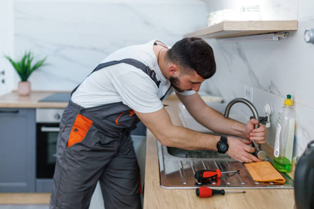Best Local Plumber Services  in Forest, OH
