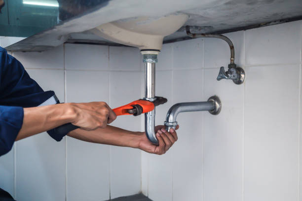 Best Commercial Plumbing Services  in Forest, OH