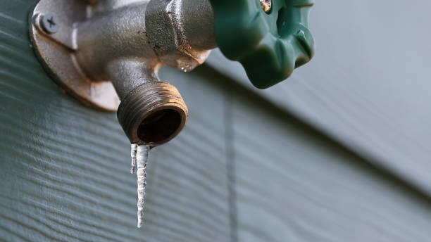 Best Drain Cleaning Services  in Forest, OH