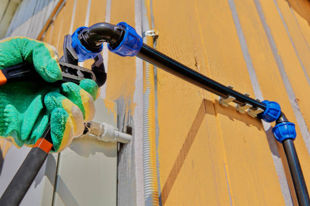 Best Affordable Plumbing Services  in Forest, OH